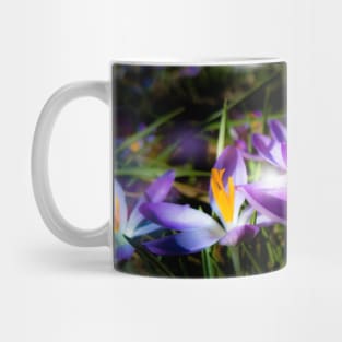 purple flowers, flower meadow, spring, blossoms, floral Mug